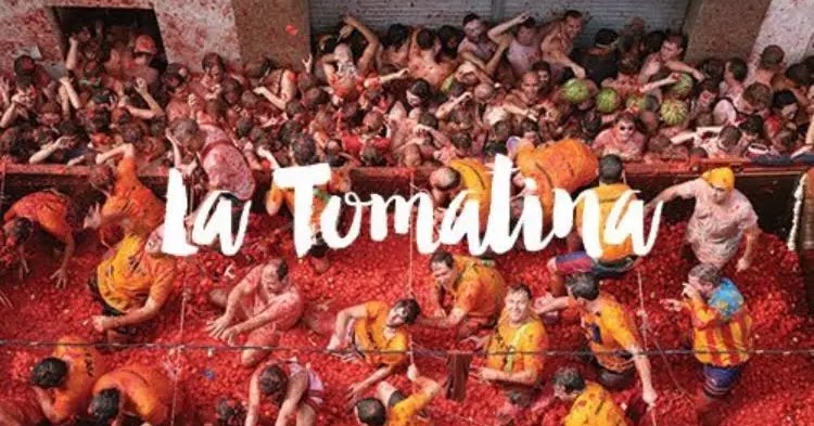Tomato fight in italy picture