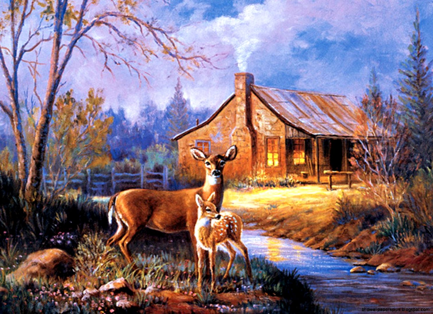 Whitetail Deer Wallpaper for Computer