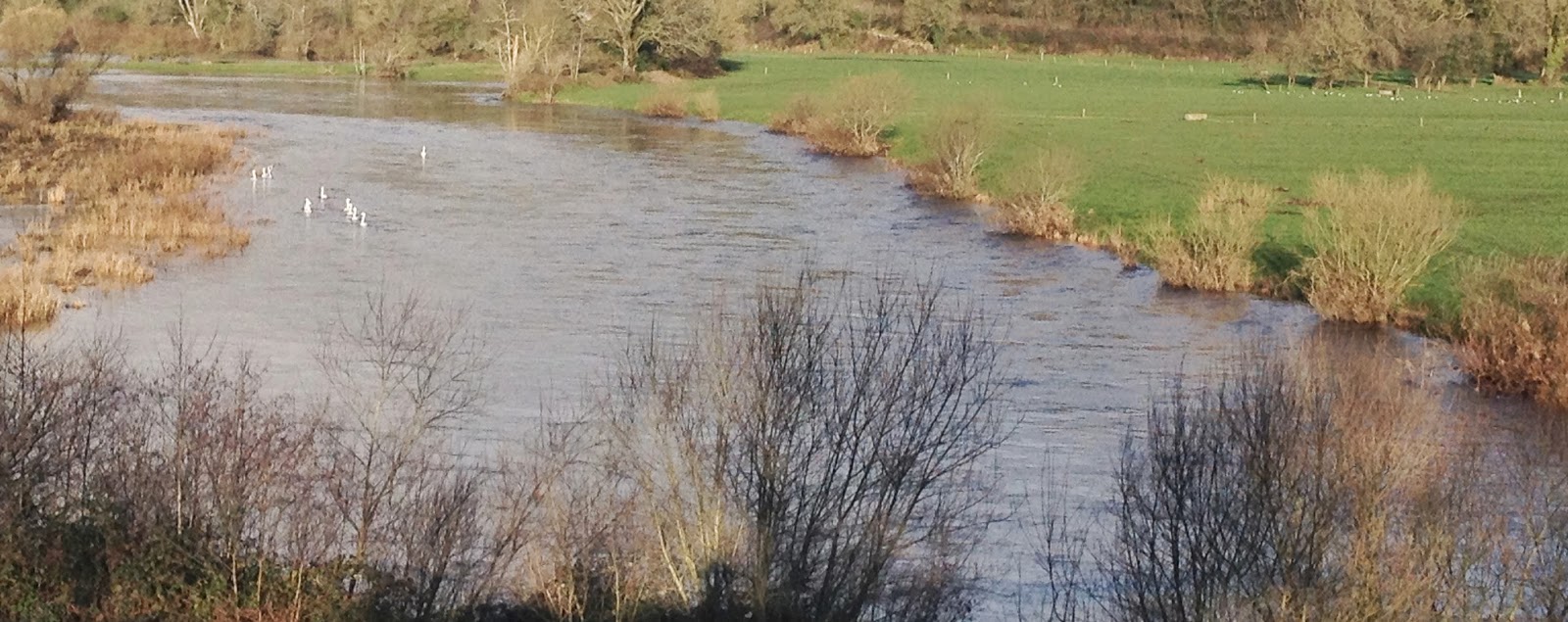 Blackwater Lodge Salmon Fishery Prospects for the Start of the Season