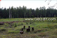 Место отдыха лесорубов на месте бывшего советско-польского погранперехода в Колосово