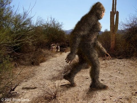 Cryptid Experts Weigh In on Bigfoot Hunting Season in Oklahoma Bigfoot-in-arizona-the-howler