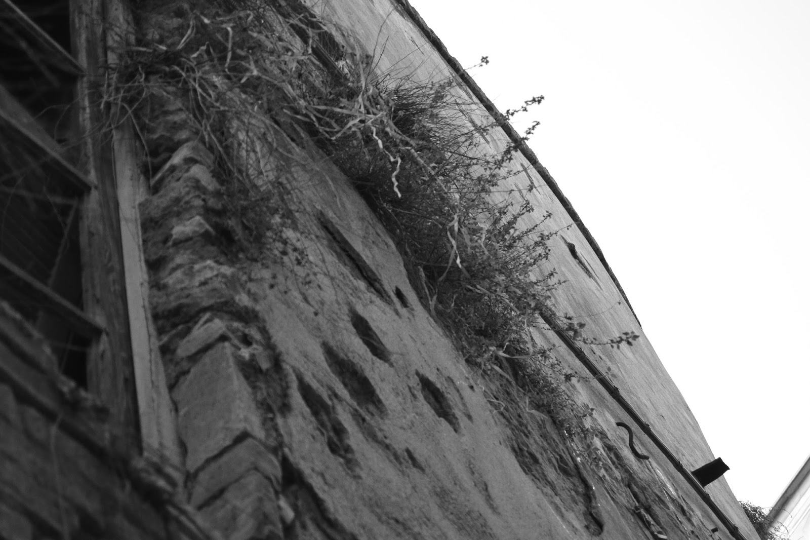 ventimiglia cammina /Migrante fa autostop sull’A10