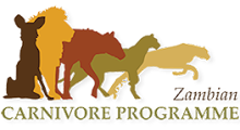 The Zambian Carnivore Programme