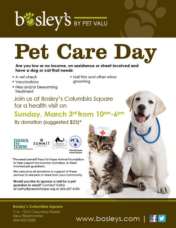 The Love on a Leash Blog A Hand for Homeless, Street Involved and Low