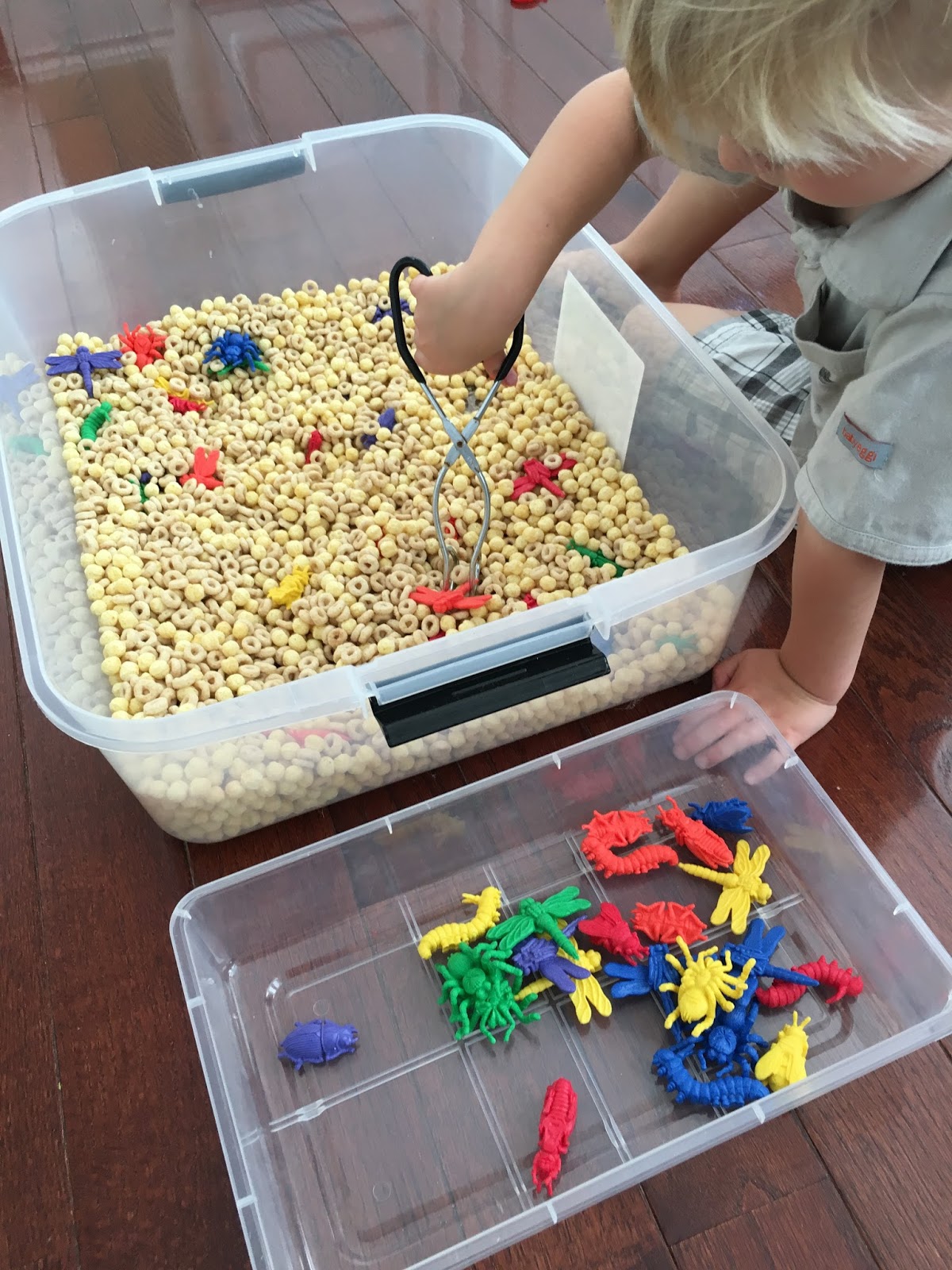 toddler-approved-awesome-quick-to-make-bug-sensory-bin-for-kids