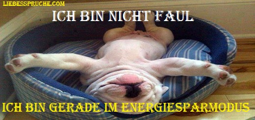 lustige sprüche, lustige sprüche bilder, lustige sprüche für freunde lustige-sprüche-bilder
