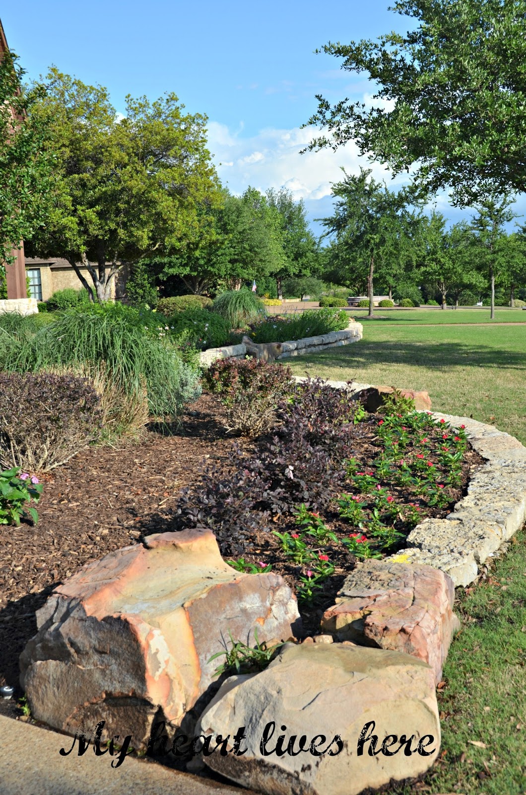 The Skillful Bee Favorite Garden Trees And Shrubs Zone 5 6