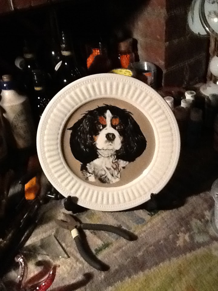 Larry O'Donnell Some more dogs on plates...