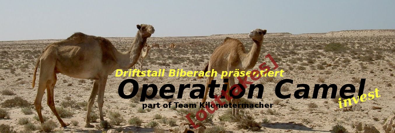 Operation- Camel Invest - Driftstall Biberach  auf der Allgäu Orient 2012