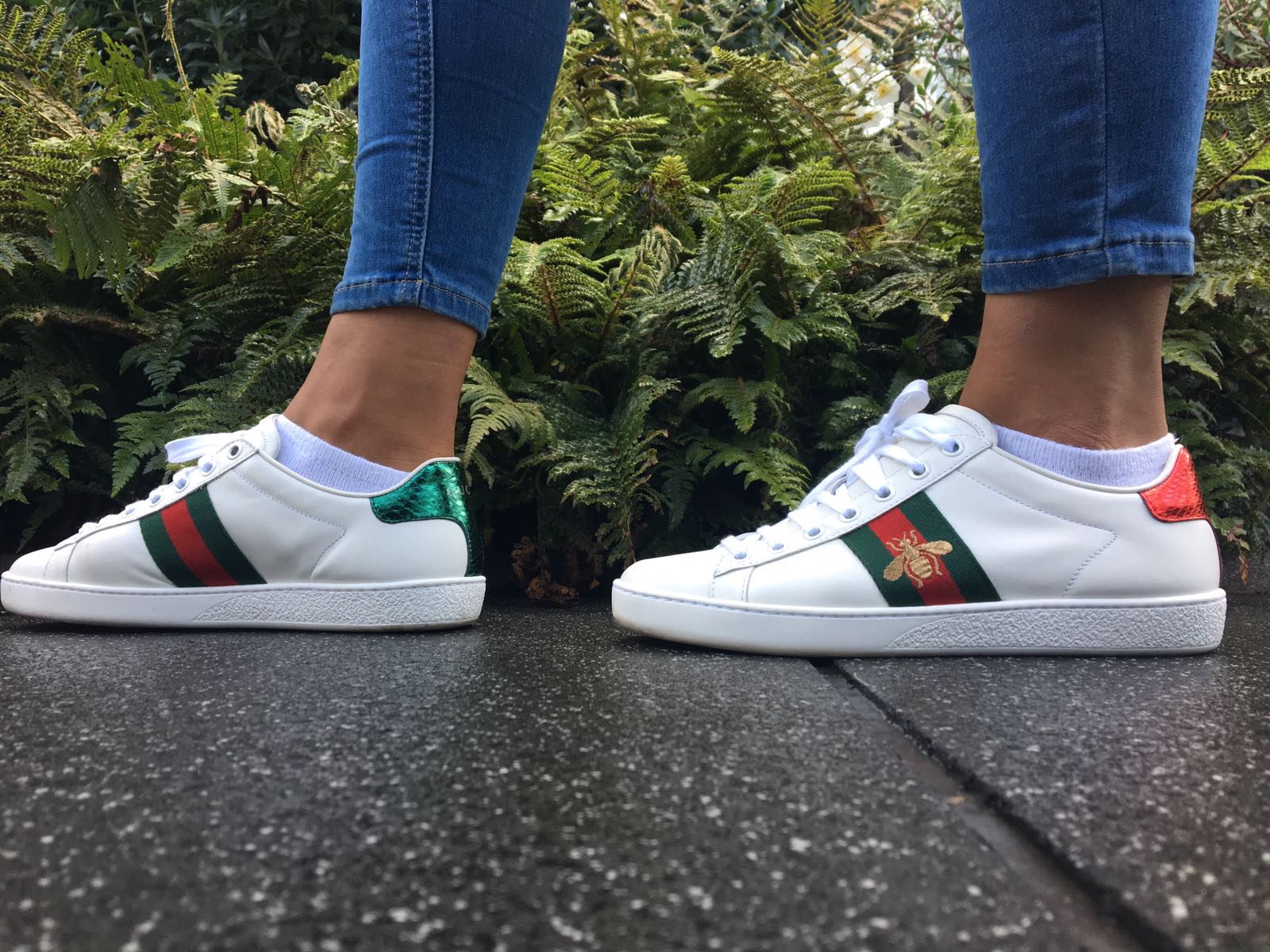m8 GUCCI ACE SNEAKERS