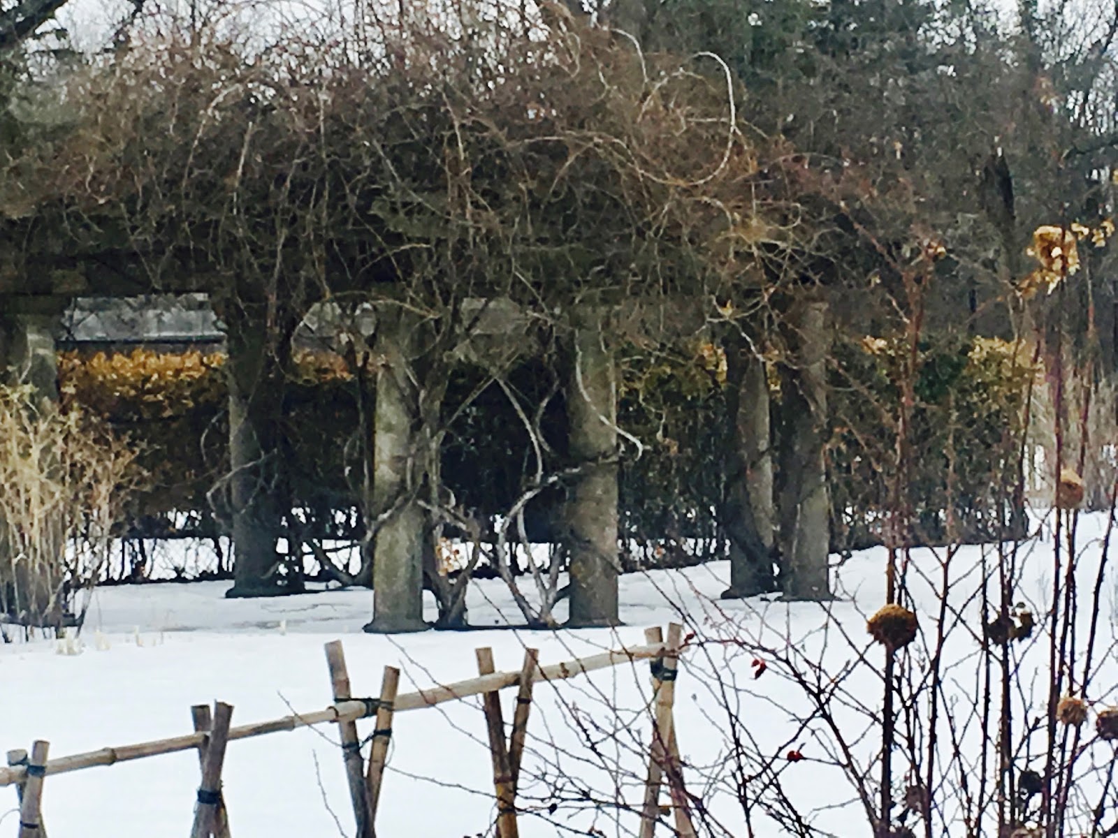 Mop Philosophy Winter Gardens at Langdon Hall