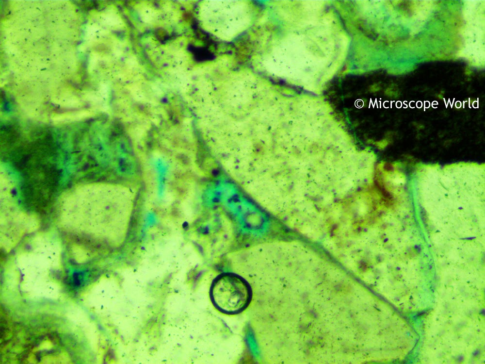 Geology microscope image of a thin section of rock using a polarizing microscope.