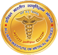 AIIMS 10+2 Lower Division Clerk (LDC) Online Form image-506