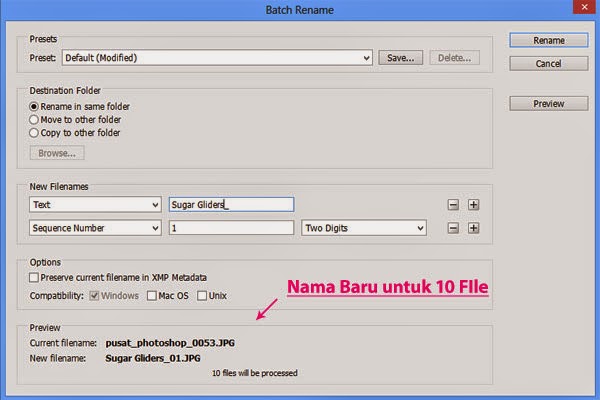 shortcut to adobe bridge photo downloader shortcut to adobe bridge photo downloader