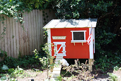 aarp chicken coop story 9
