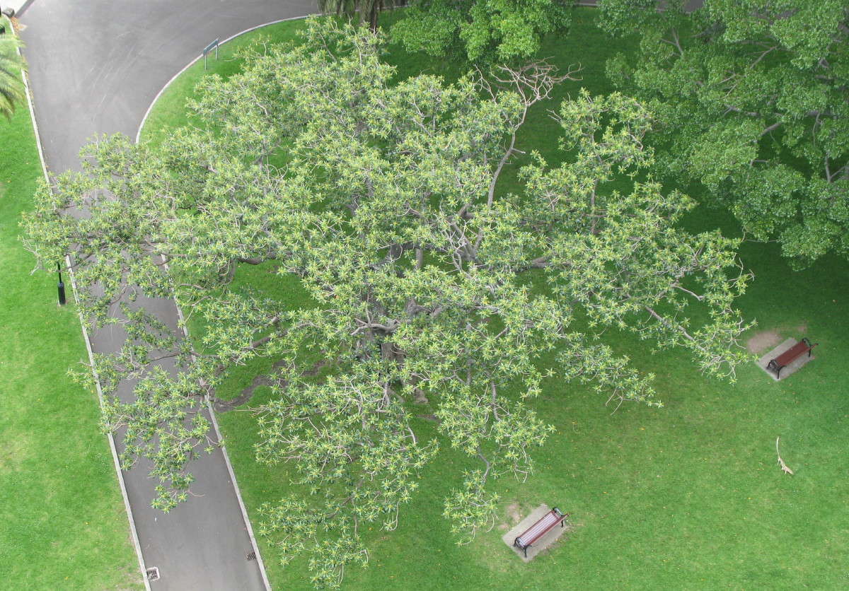 Creative Living: 5-15-11