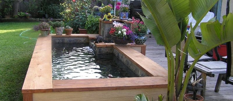 71 Desain Kolam Ikan Minimalis Infoikan Com Infoikan Com