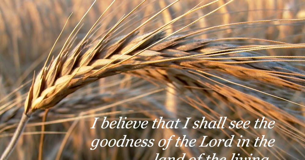 an-encounter-with-yeshua-psalm-27-a-solid-confession-of-faith
