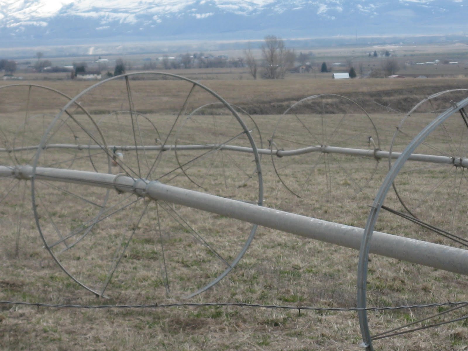Shell's Photo Album Arimo, Idaho