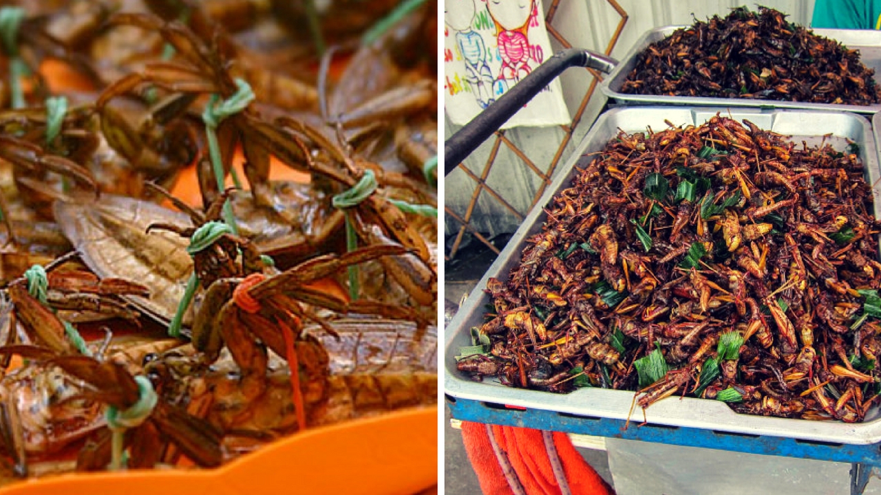 Top 10 bizarre foods on the trip to Laos