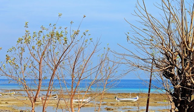 pulau gili ketapang