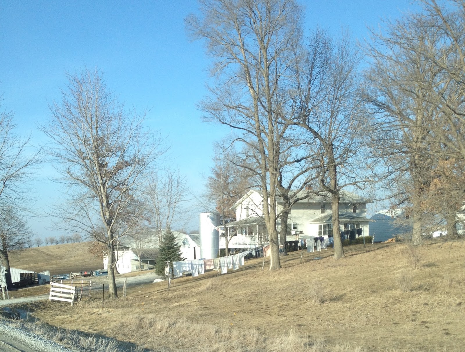 Amish Horses Amish Farm Tour