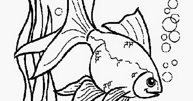 gambar mewarna flora dan fauna