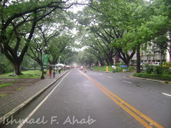 Academic Oval of UP Diliman