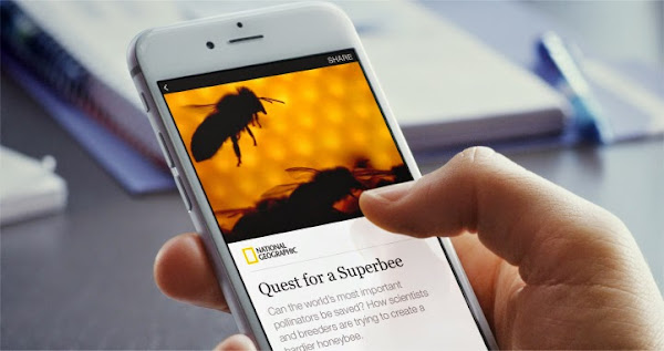 圖說：Facebook Instant Article手機介面，外媒翻拍