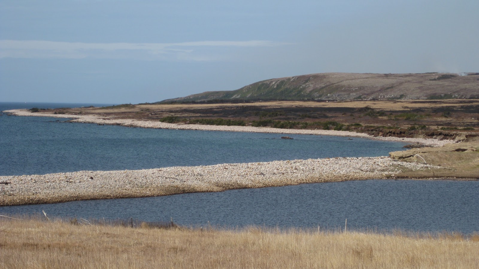 Sue's Blog Fire continues behind Seal Cove Fortune Bay