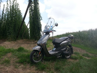 05.jpg