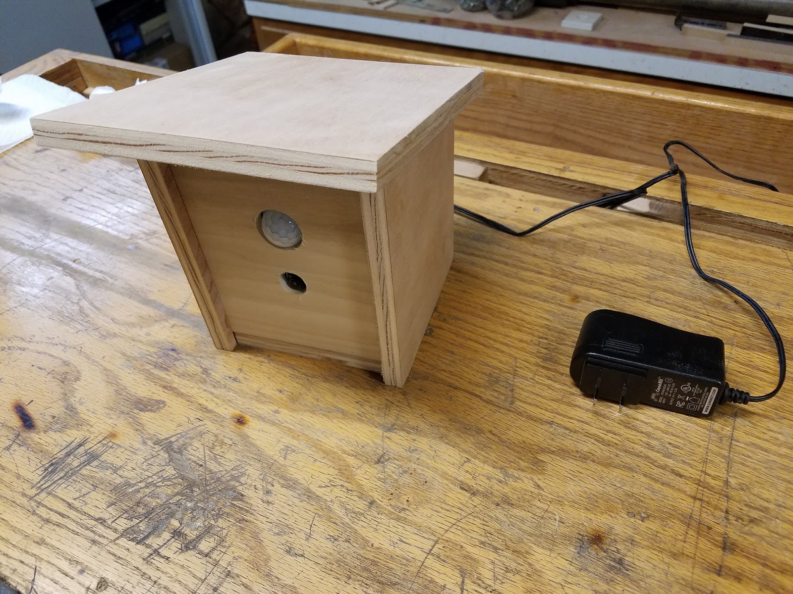 Mad Lab 5 Filming Birds with a Raspberry Pi (Part One)