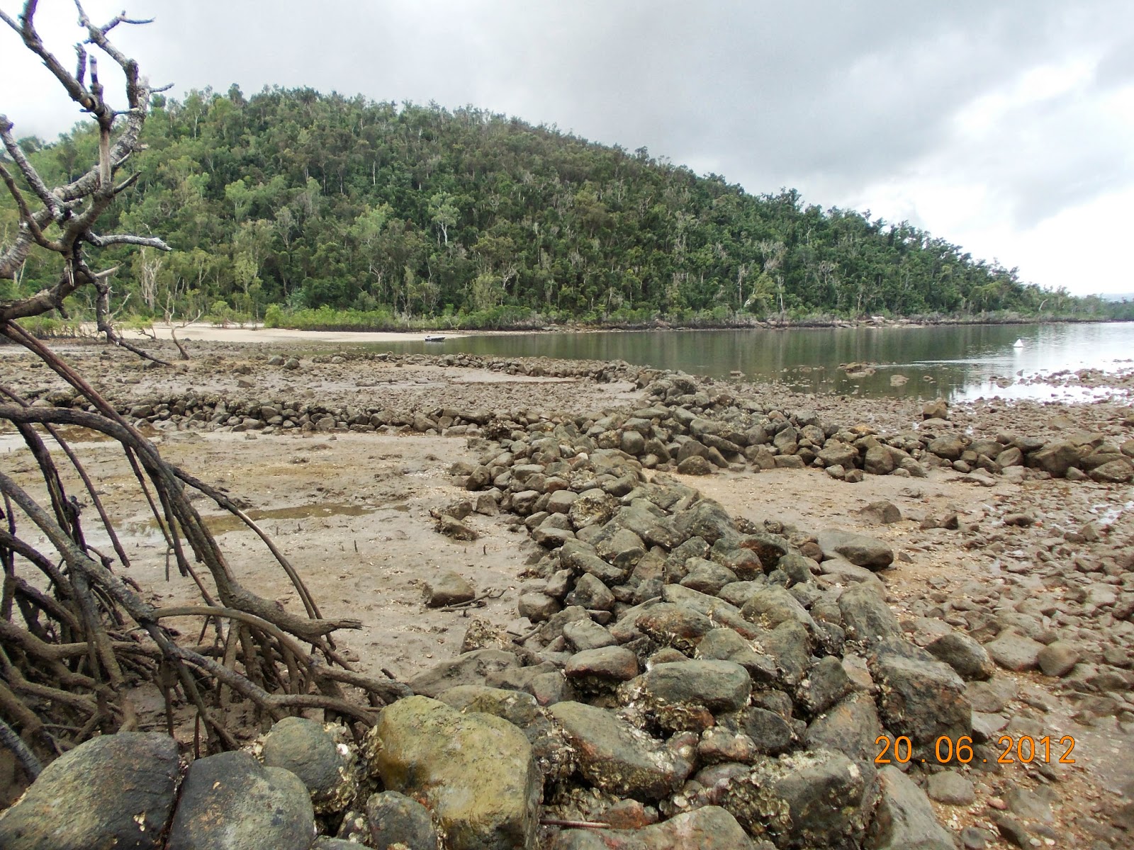 RJP BOF Hinchinbrook