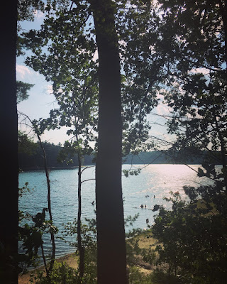 walden pond from the walking trail