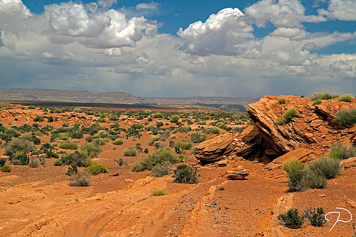 Arizona Desert by Jim Dollar