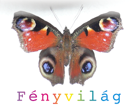 Fenyvilag.blogspot