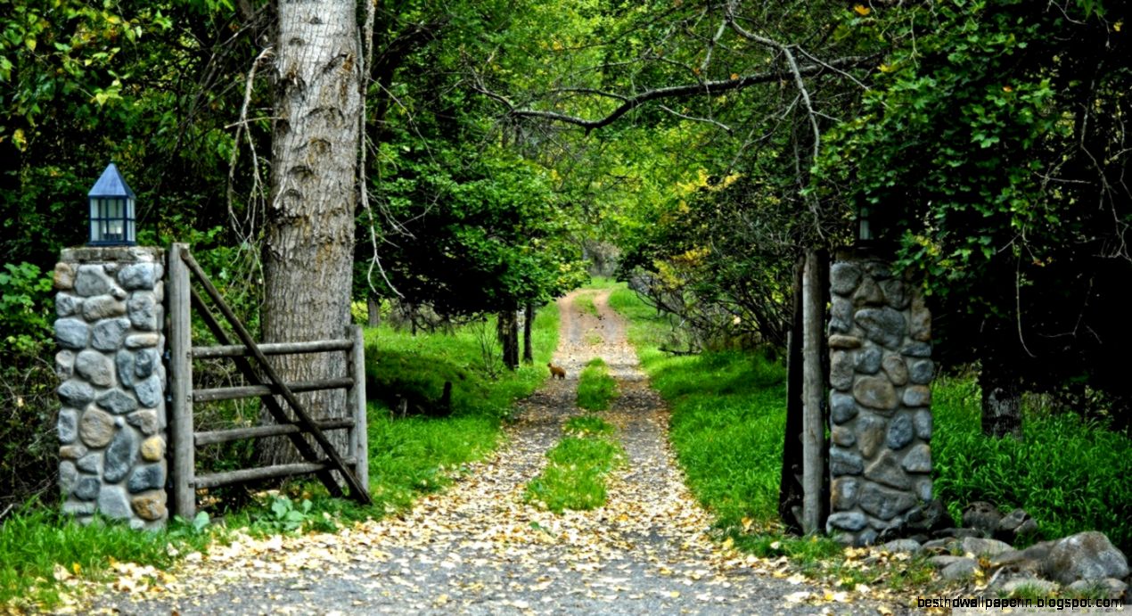 Nature Scenes 23 HD desktop wallpaper  Widescreen  High