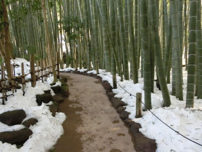 �񍑎��|�̒�