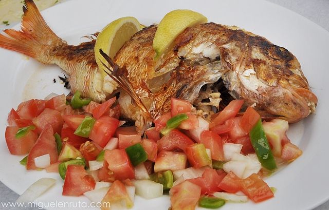 Pescado-Cádiz-gastronomía