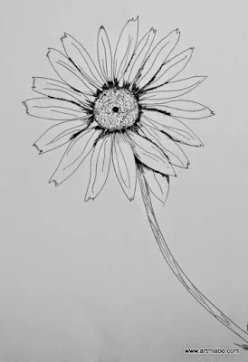 Pen and Ink Flower Drawings | Artmiabo