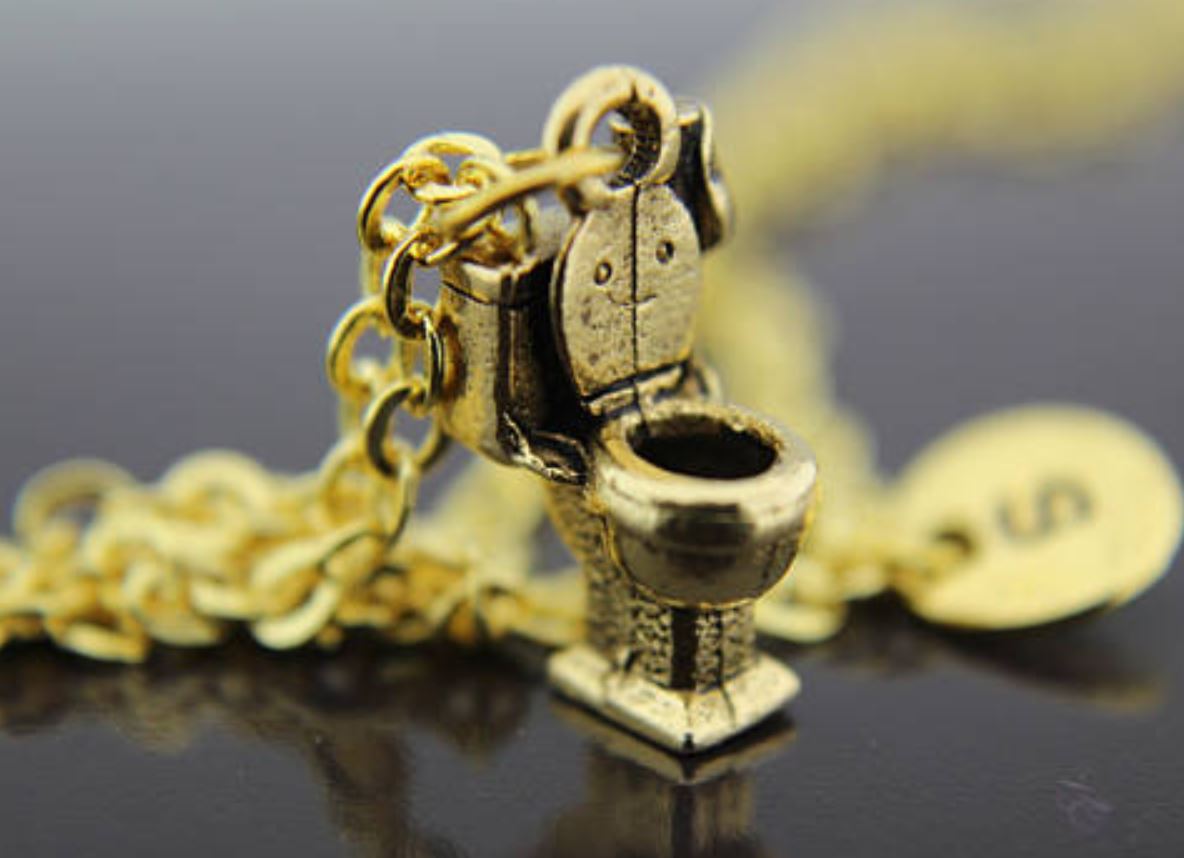 Thisoldtoilet Replacement Toilet Lids and Seats The Latest in Toilet