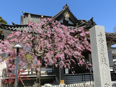 �������̎}�����