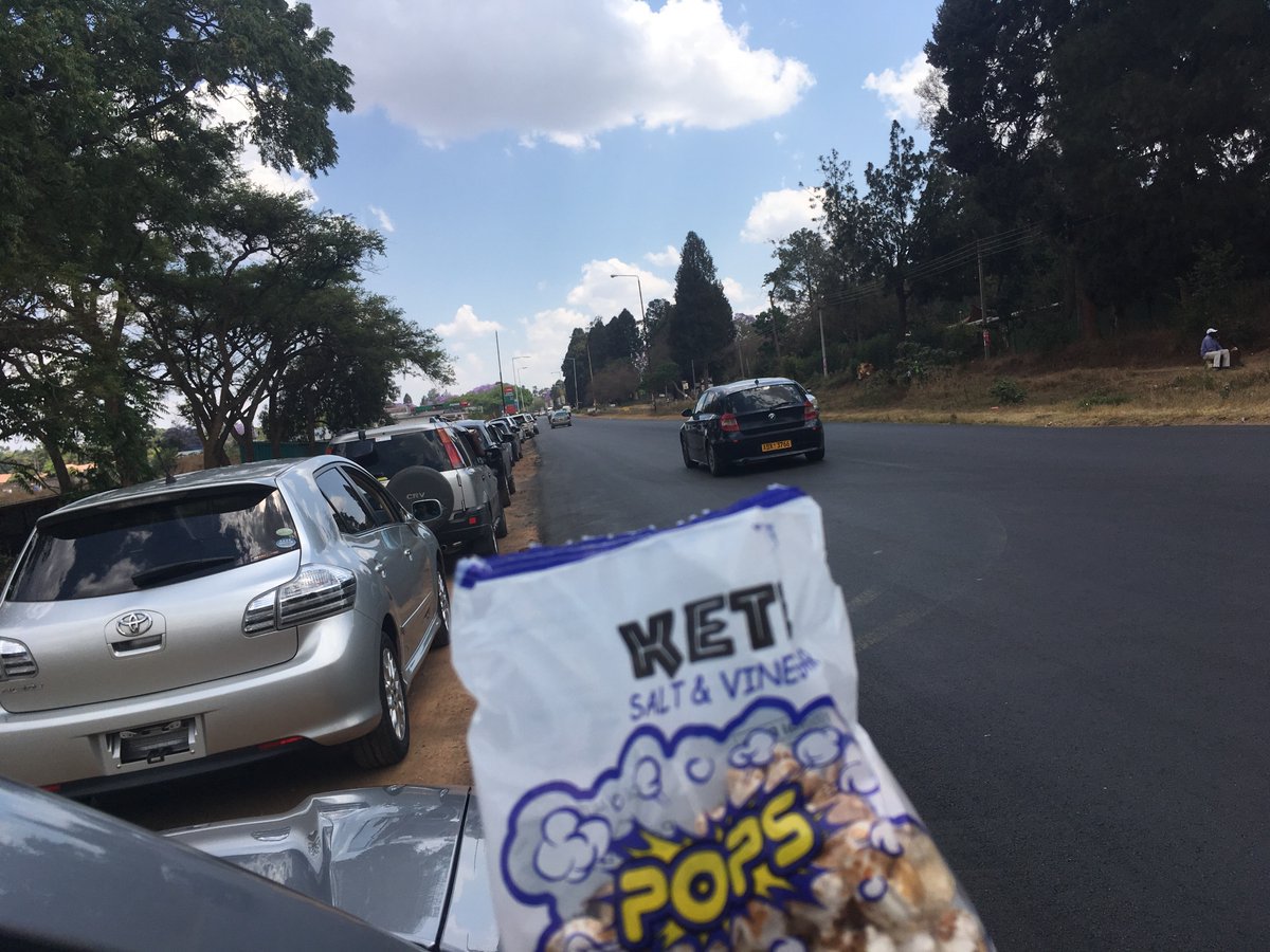 NewsdzeZimbabwe FUEL SHORTAGE ARTIFICIAL MINISTER