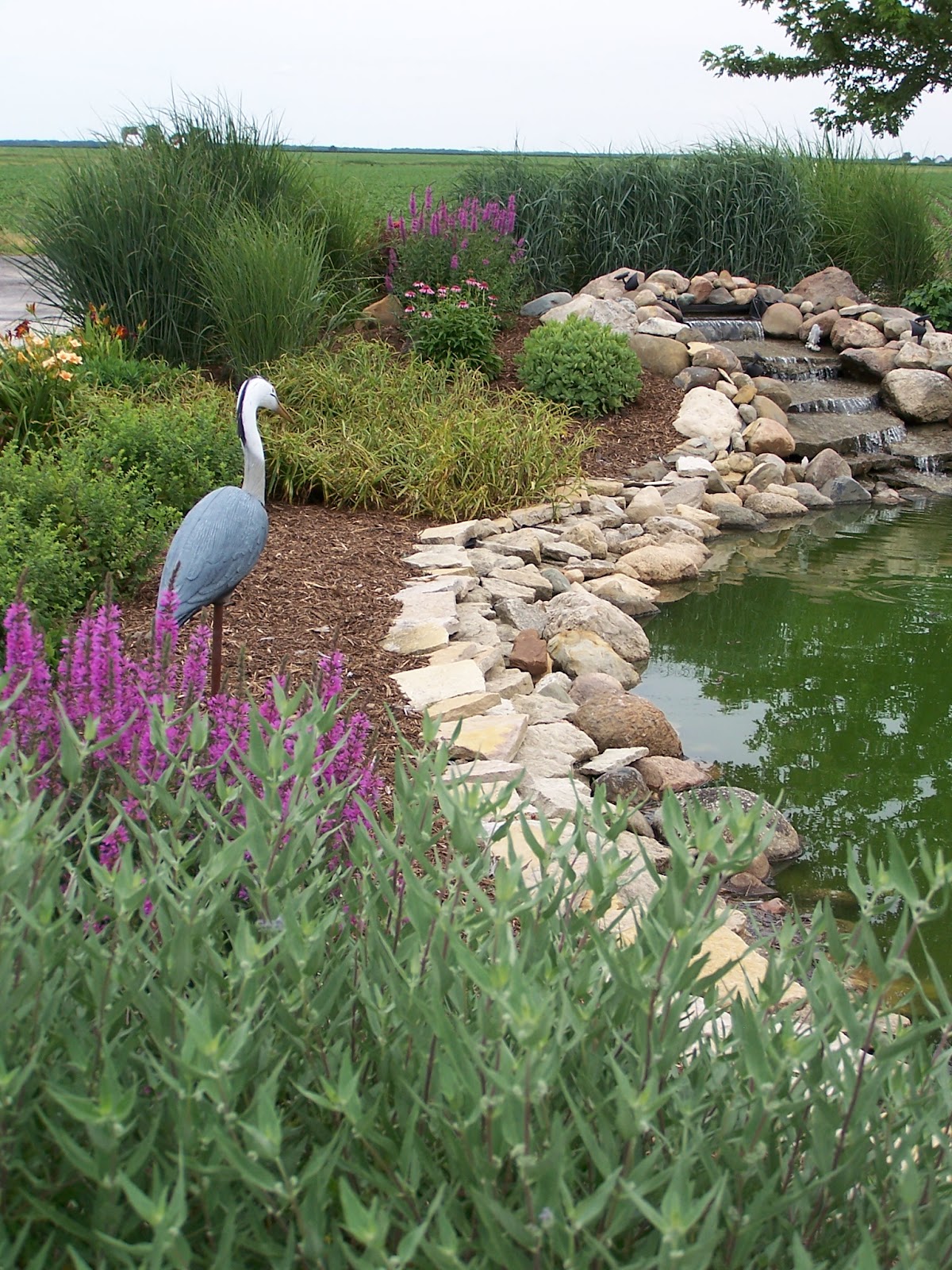 Design to Grow: Iroquois Historical Society's 12th Annual Garden Walk