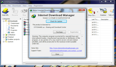 Internet Download Manager 6.25 Build 22 + Patch Full Version