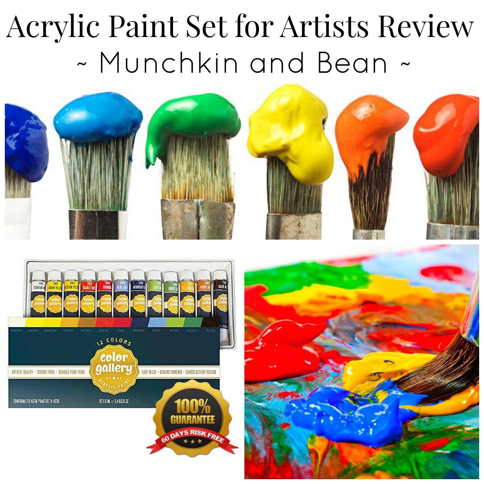 Munchkin and Bean Acrylic Paint Set for Artists Review