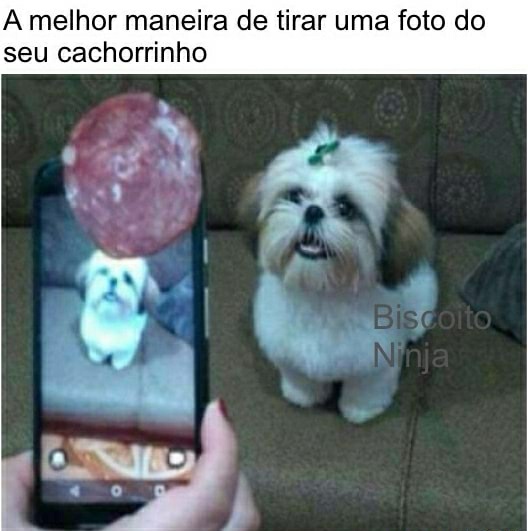Memes engraçados Memes engraçados