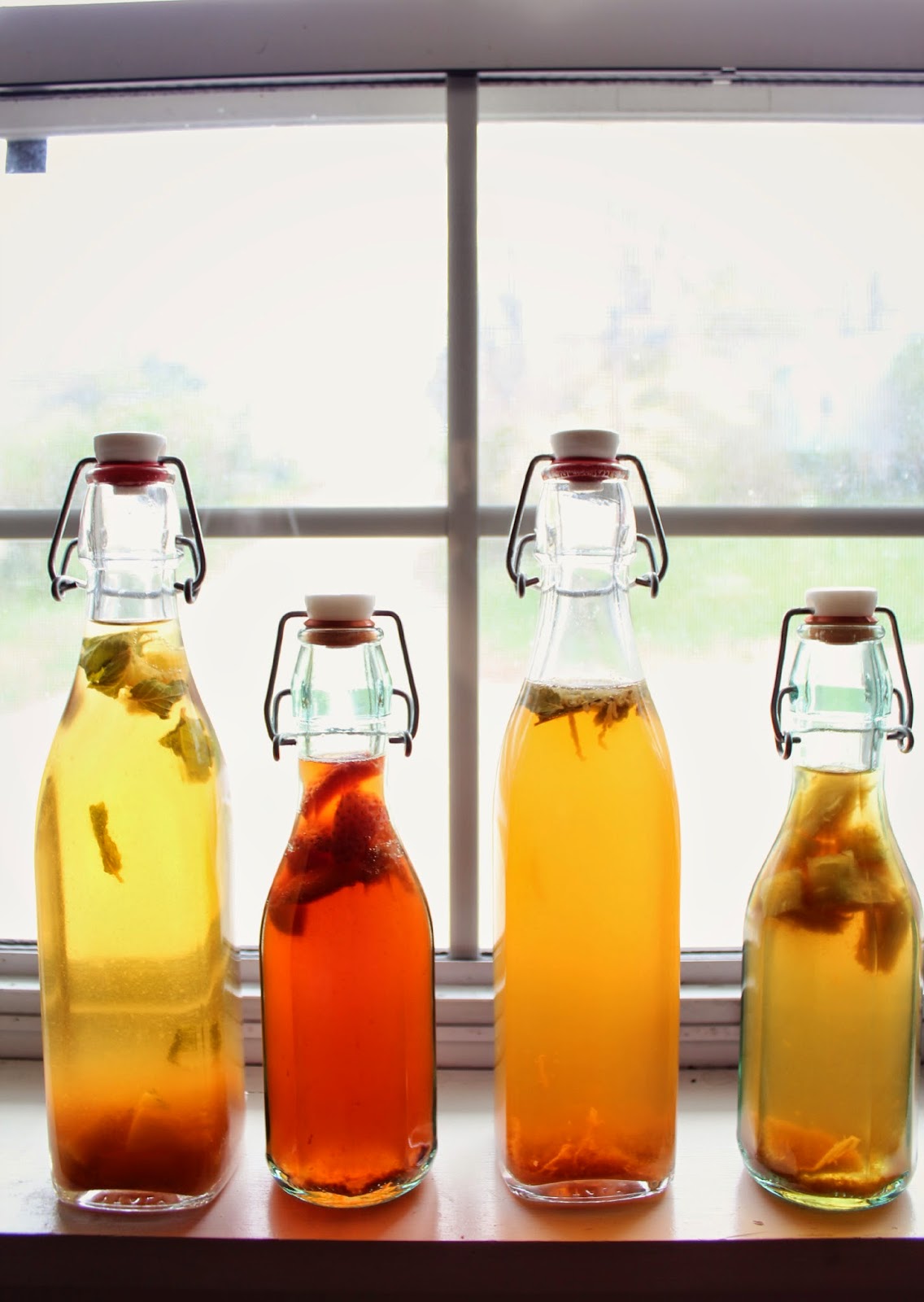 Kombucha for Beginners