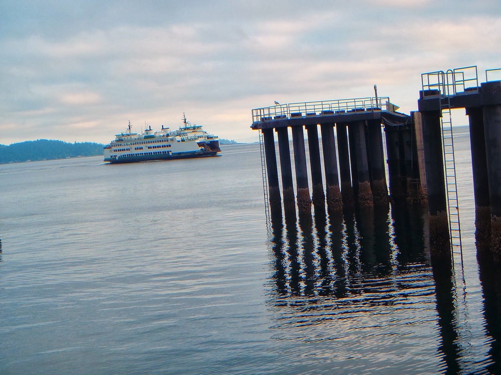 Miles in the Middle VashonWest Seattle/Fauntleroy and VashonDowntown