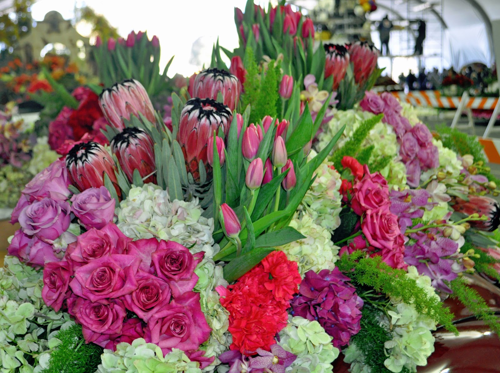 A Passion for Flowers The 'Disneyland of Flowers' Pasadena's Rose Parade